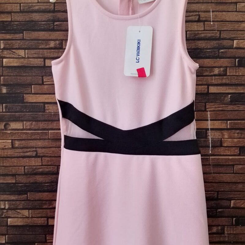 Pink LCW Dress