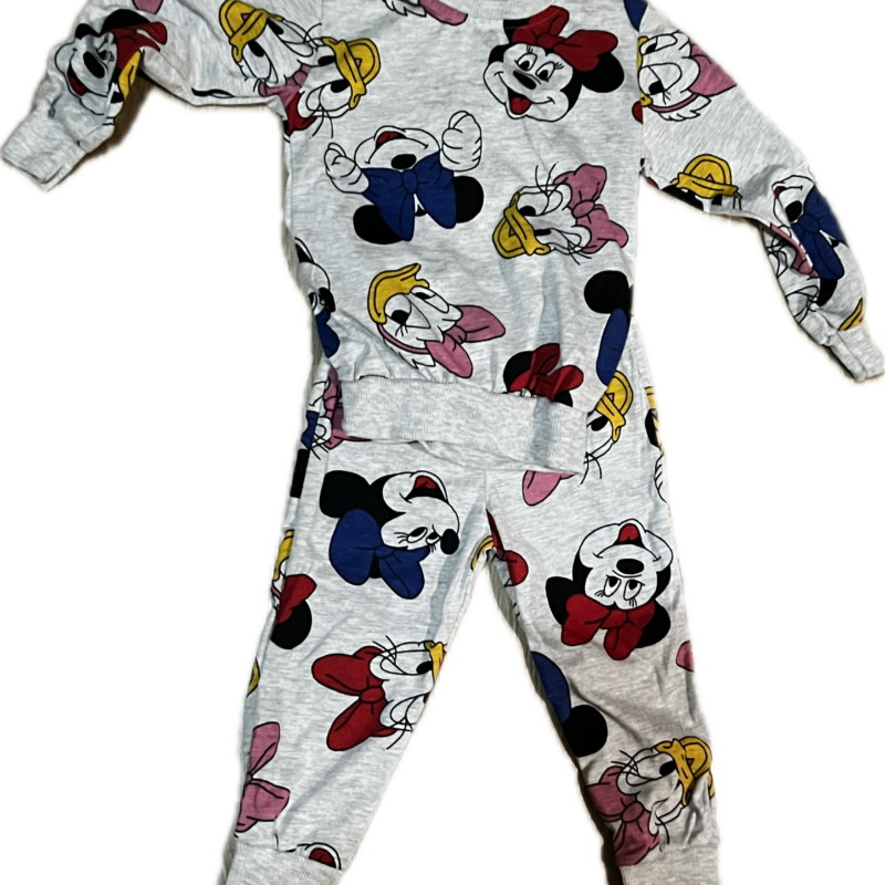 Minnie mouse sweat pants.